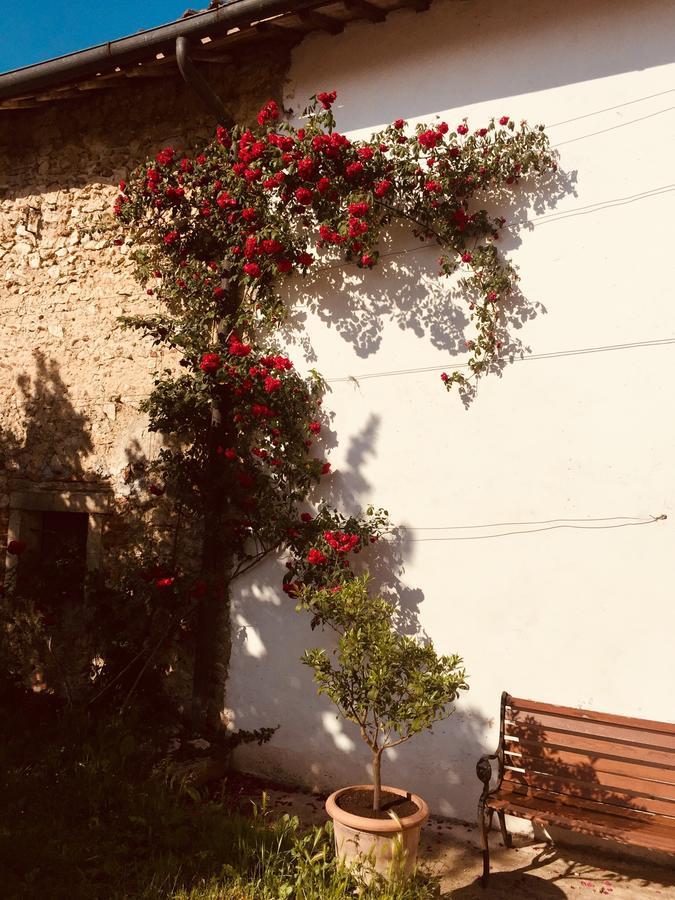 Relais Villa Gozzi B&B Аркуньяно Экстерьер фото